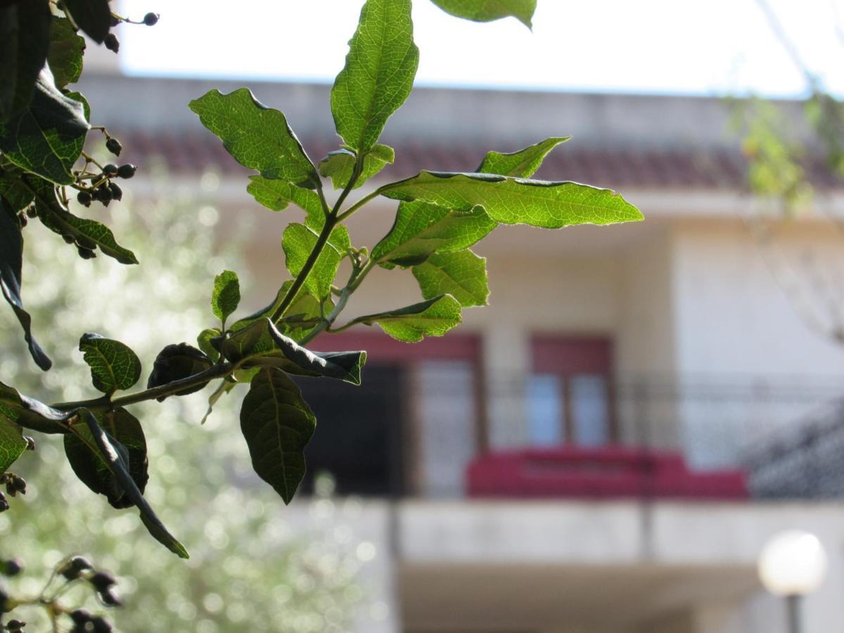 Casa Il Giovane Alloro Martina Franca Kültér fotó
